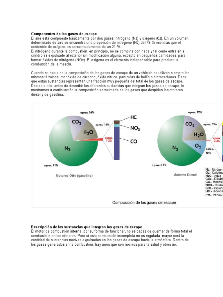 Componentes de Los Gases de Escape Combustión Dióxido