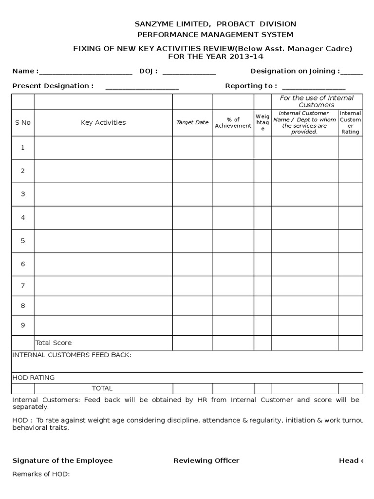 Key Activities Review Format MT PDF Leadership Organizational