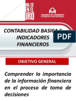 Contabilidad Basica e Indicadores