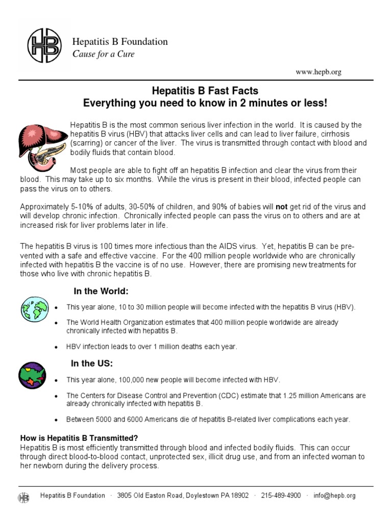 Hepatitis B Overview and Prevention Guide | PDF | Hepatitis B | Hepatitis
