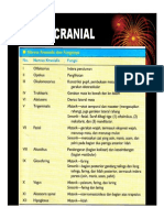 Saraf Cranial