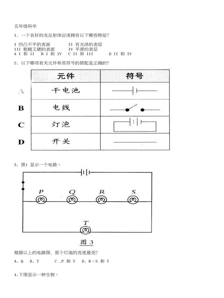 科学五年级 Pdf