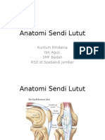 Anatomi sendi lutut