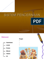 Sistem Pencernaan