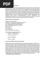 Download Deskripsi Tanaman Lidah Mertuadoc by Aby Aroziq SN276037029 doc pdf