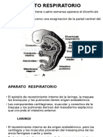 APARATO RESPIRATORIO Embriologia