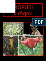 Tropusi_viragok