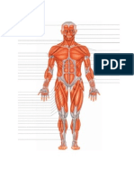 Musculos (Autoguardado)