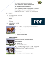 Producción de Ganado Bovino para Carne PDF