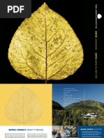 Download 2015 Overview and 2014 Annual Report by The Aspen Institute SN276060411 doc pdf