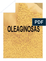 Oleaginosas. Generalidades