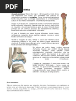 Sistema Esquelético.docx