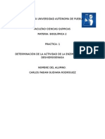 DETERMINACIÓN DE LA ACTIVIDAD DE LA ENZIMA SUCCINATO DESHIDROGENASA 