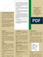 Tríptico_Prevencion Fatiga Visual.pdf