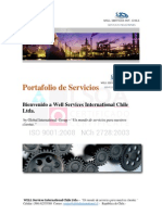 Portafolio de Servicios Industriales Well Services II