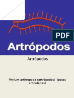 Artrópodos