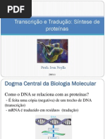 Transcrição e Tradução