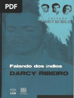 Falando de Índios, Darcy Ribeiro