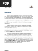 Rapport de Stage Vanelli198[1][1] Nouv3333