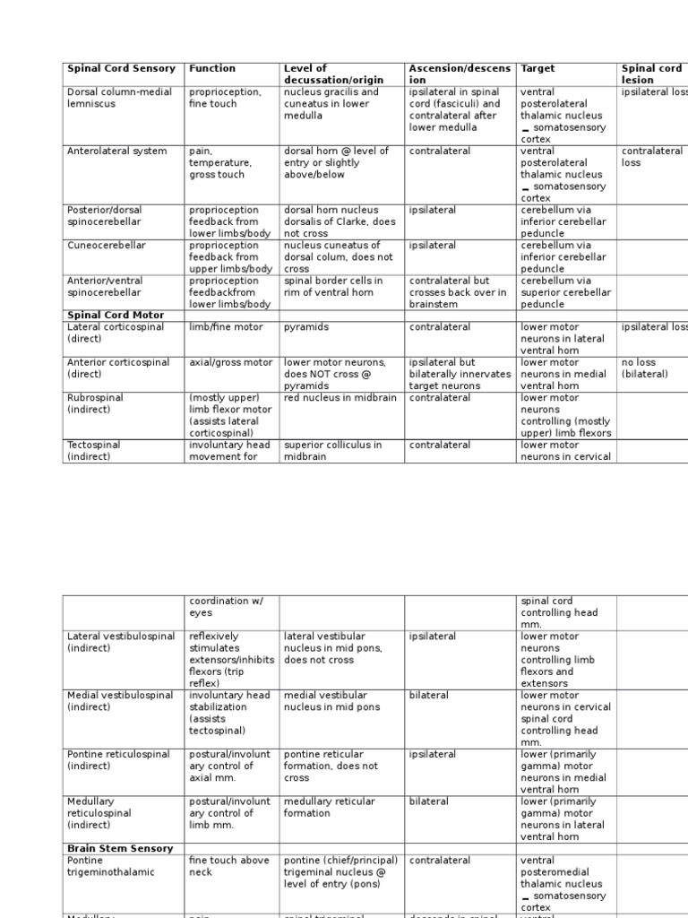 Central Nervous System Tracts | PDF | Spinal Cord | Brainstem