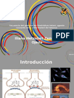 Secuencia del genoma de Clostridium tetani, agente causante del tétanos