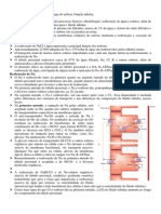 Fisiologia Renal