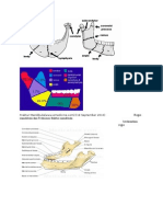 Fraktur Mandibula