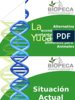 Yuca Propuesta Agroindustrial BIOPE - PPSX