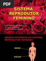 SISTEMA REPRODUTOR FEMININO -2009