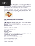 Download Definisi Protein by dwiyanipu SN276132715 doc pdf