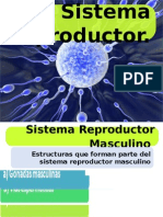 Aparato_Reproductor (Masculino y Femenino)