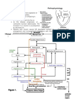 Pathogenesis Mr