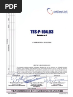 Tes P 104 03 R0 PDF