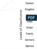 Levels of Classification Flip Book