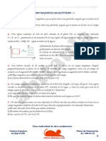 Campo Magnetico Selectividad - I