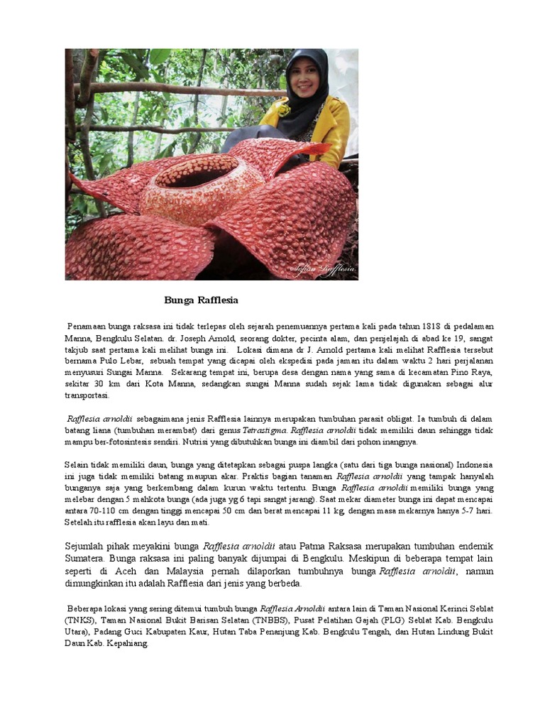 Artikel Surat Khabar Tentang Rafflesia