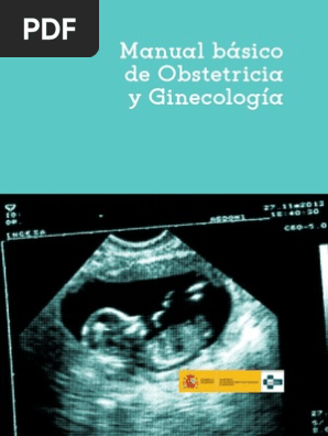 Manual Obstetricia Ginecologia
