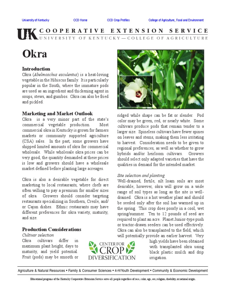 Okra PDF Soil Agriculture