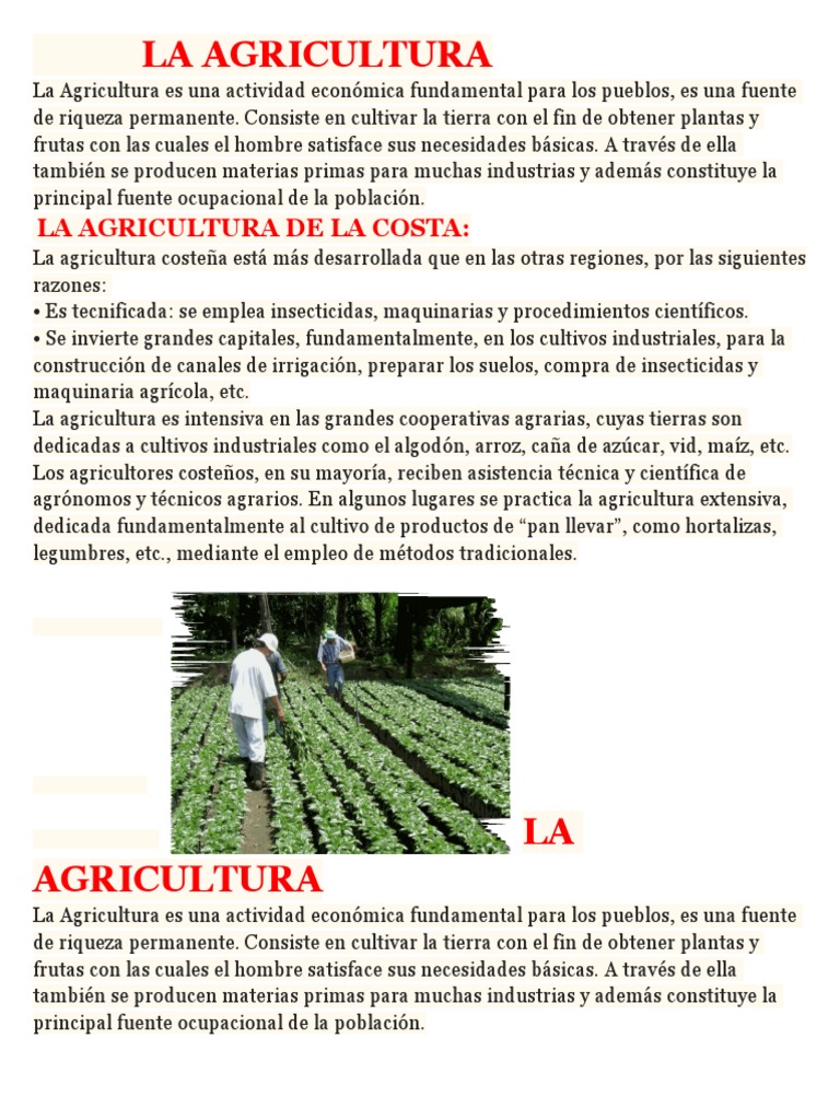 Agricultura en Regiones Costeña, Sierra y Selva | PDF | Selva | Agricultura