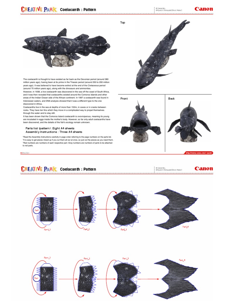 Coelacanth Assembly Instructions | PDF | Social Science