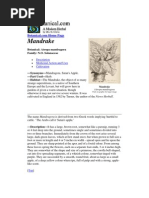 Botanical_com - A Modern Herbal Mandrake