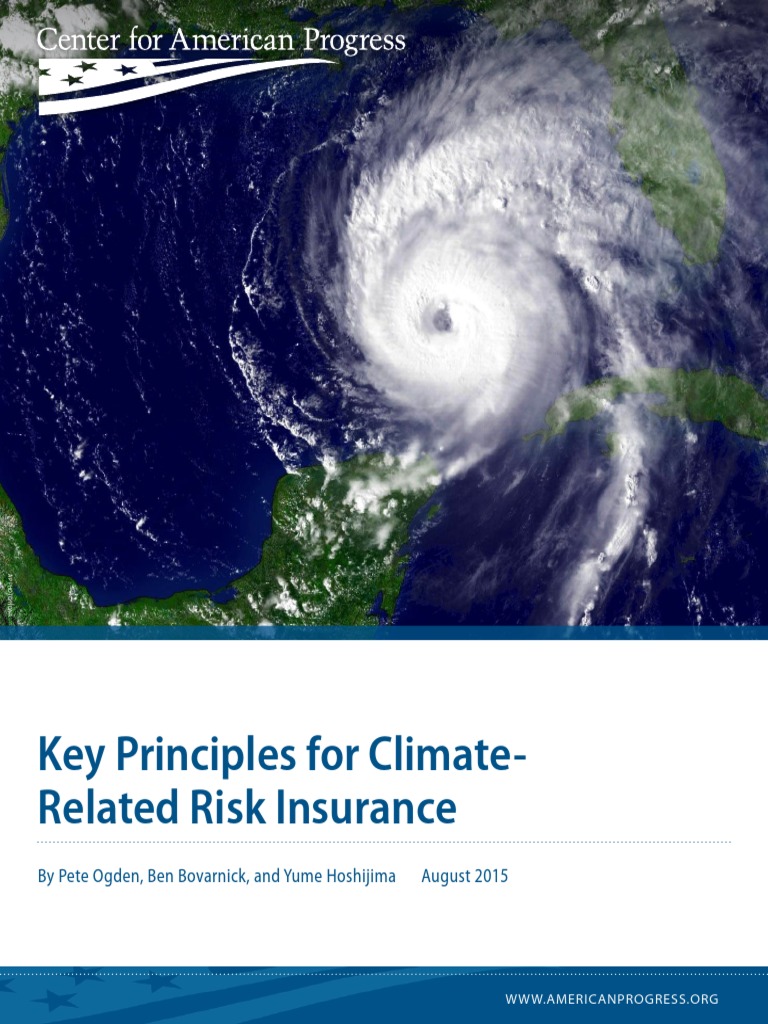 Principles of Climate Risk Insurance | PDF | Insurance | Risk Management