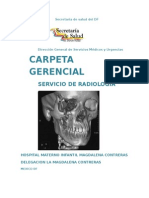 Carpeta Gerencial