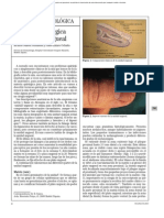 Anatomia Quirurgica Uña PDF