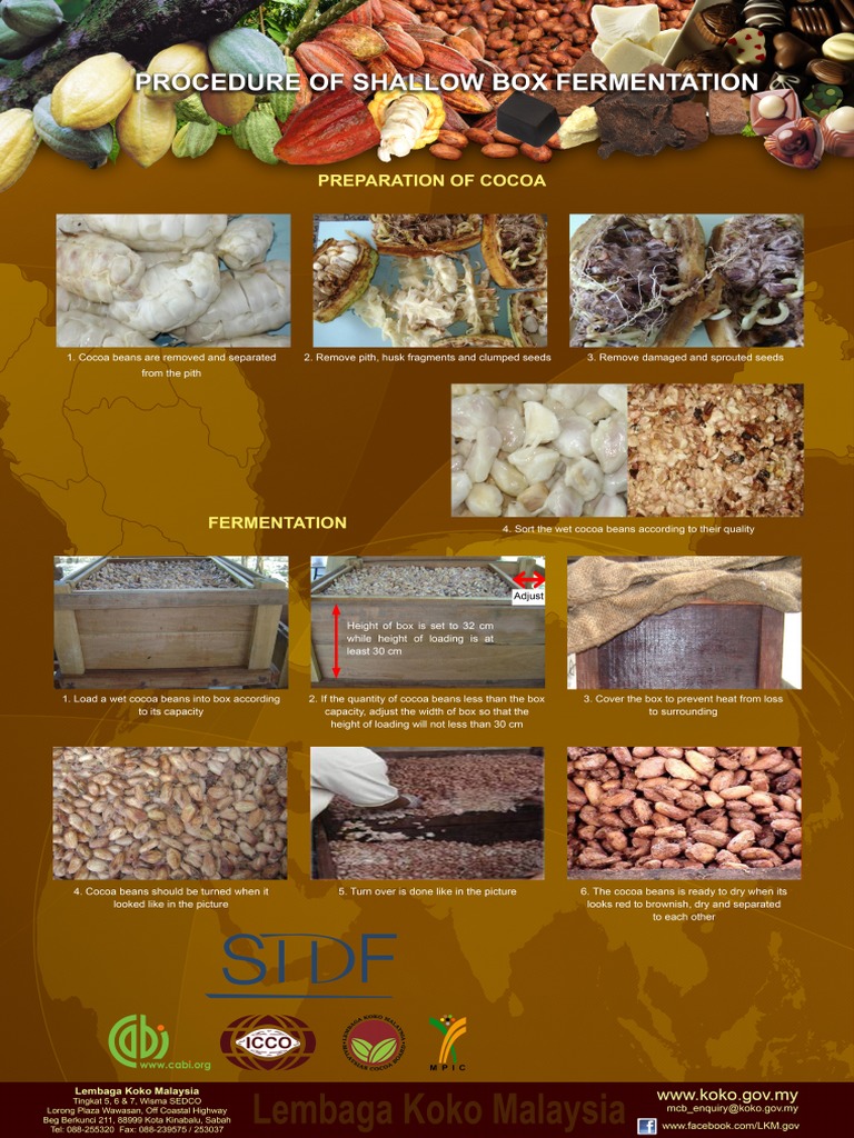 Procedure of Shallow Box Fermentation | PDF