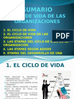 CICLO DE VIDA DE LAS ORGANIZACIONES.pptx
