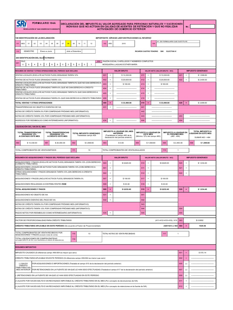 Declaración IVA Formulario 104A | PDF | Servicios (economía) | Finanza ...