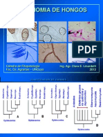 Clase 4 Taxonomia de Hongos Biodiversidad I