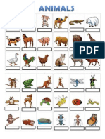 Name the Animals Worksheet