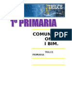 Comunicacion. I Bim